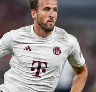 和队友的认 和队友的认