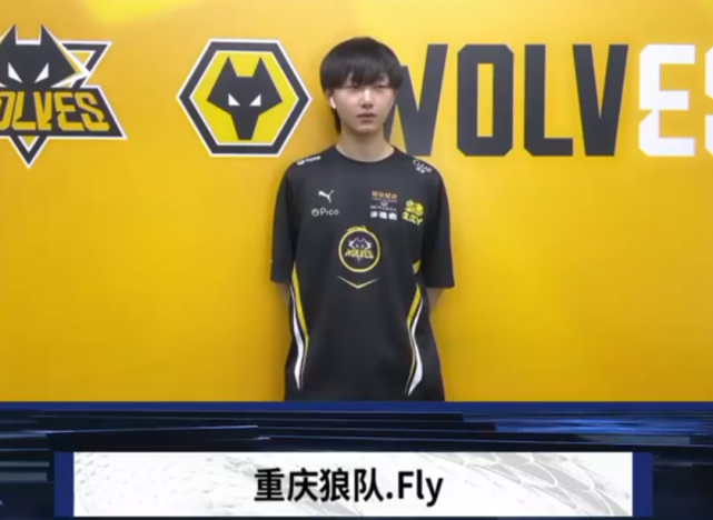 向选择价值 向选择价值
